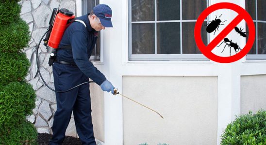 Gülşehir Kene İlaçlama böcek ilaçlama ve haşere kontrolü — ilaclama-tr.com